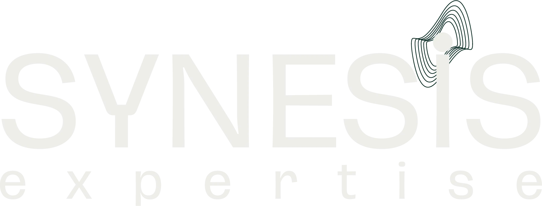 Synesis Expertise