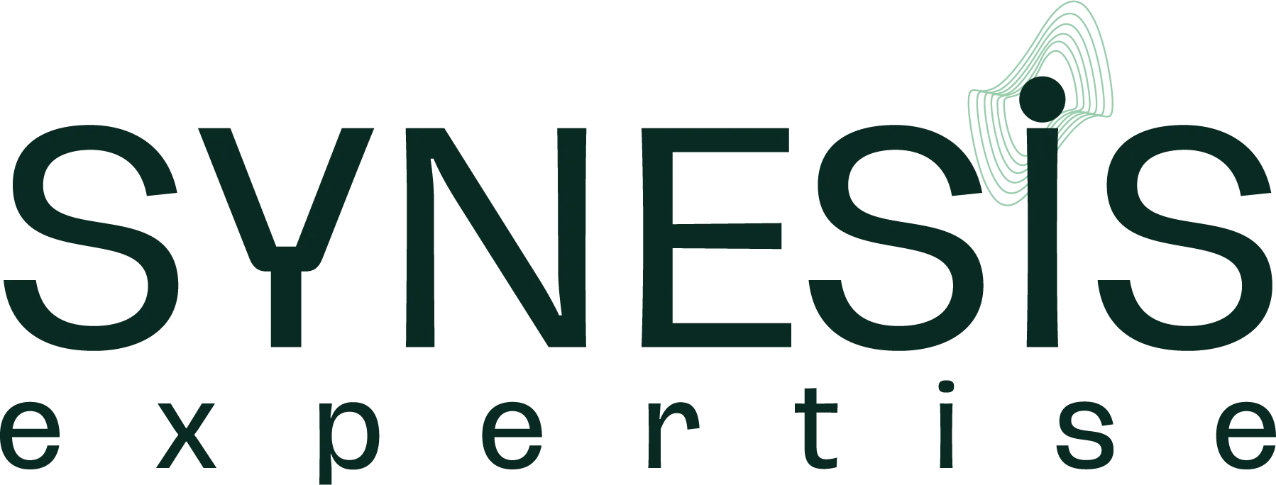 Synesis Expertise